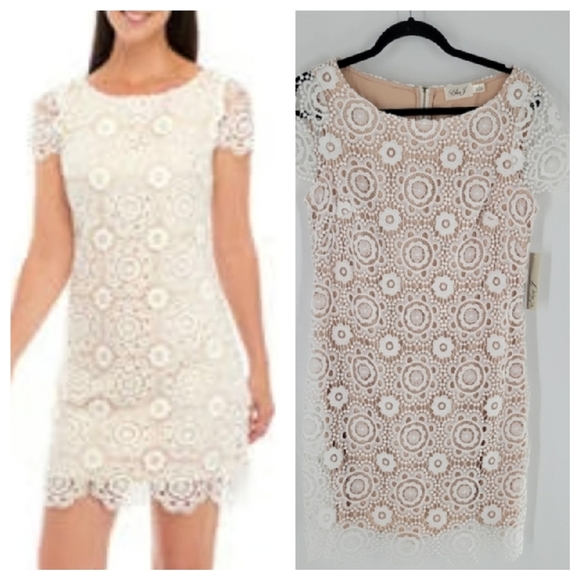 Eliza J White Cream Lace Overlay Dress Size 12 New - Picture 1 of 7